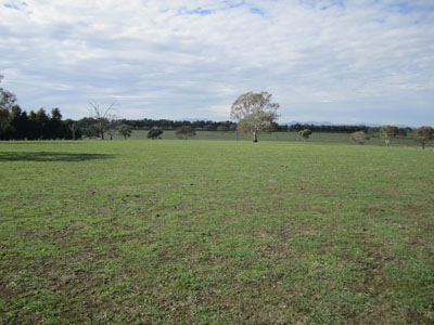 Surrounding pasture