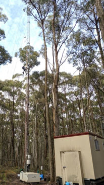 base of the Wombat tower and shed
