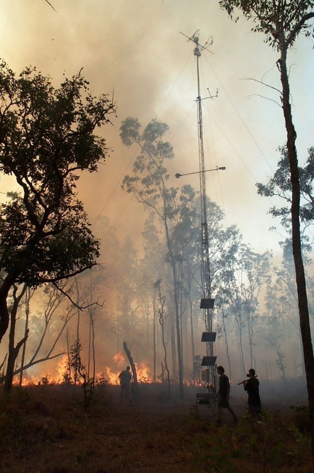 Controlled burn near the tower