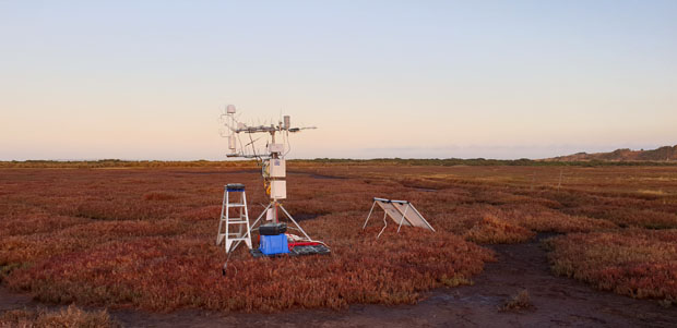 French Island flux station at twilight looking to the west